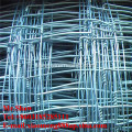 PVC Coated Welded Wire Mesh Fence